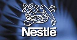 Nestlé Việt Nam rót 3 triệu đô cho không gian làm việc mới để thu hút tài năng