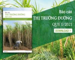 [Báo cáo] Thị trường đường quý I/2021: Quay đầu giảm