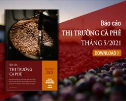 Giá cà phê tiếp tục đà phục hồi mạnh nhờ triển vọng nguồn cung giảm