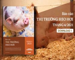Giá thế giới đi ngược giá trong nước