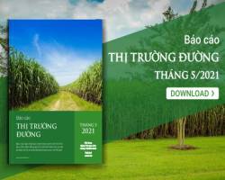 Giá đường giảm vào cuối tháng