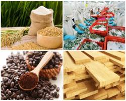 Bản tin thị trường nông, lâm, thủy sản số ra ngày 20/7/2021