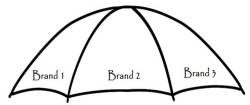Umbrella brand (Family brand)  là gì