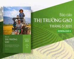 Chịu cạnh tranh lớn từ Ấn Độ, Thái Lan?