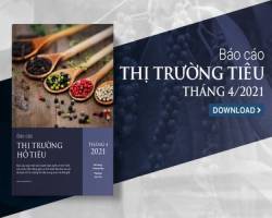 Giá tiêu hạ nhiệt sau khi tăng nóng vào quý I