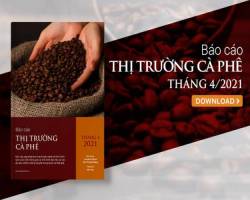 Dư cung cà phê tiếp tục được rút xuống hơn 3 triệu bao