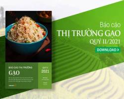 Dịch bệnh phức tạp, xuất khẩu sang thị trường chủ đạo giảm mạnh