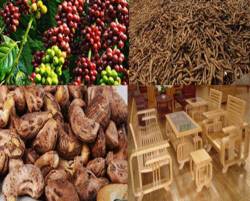 Bản tin thị trường nông, lâm, thủy sản số ra ngày 20/4/2021