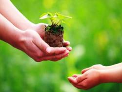 Triết lý sống giản dị, sâu sắc của người bán hàng rong