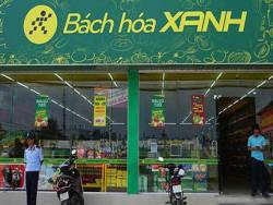 Giá đã dần ổn định, đền khách hàng thêm 100.000 đồng/lần nếu sai sót