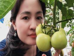 Mẹ Đà Nẵng tạo ra “nông trại” rau quả sạch trên tầng thượng giúp cả nhà vui khỏe trong những ngày giãn cách