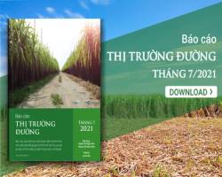 [Báo cáo] Thị trường đường tháng 7/2021
