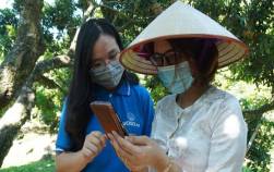 Đưa 2 triệu hộ nông dân lên sàn thương mại điện tử