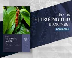 Xuất khẩu hạt tiêu chậm lại do ảnh hưởng của dịch COVID-19