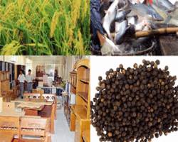 Bản tin thị trường nông, lâm, thủy sản số ra ngày 30/7/2021