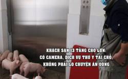 Có dịch vụ thú y tại chỗ, bữa ăn được chuẩn bị cẩn thận