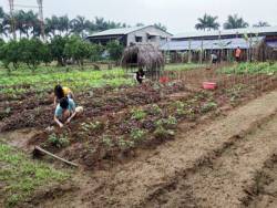 Đại gia lao tâm khổ tứ vì chôn hàng chục tỉ đồng vào farmstay, mua đất 6 triệu đồng/m2 lúc sốt, rao bán mãi không ai mua, phải bán cho chủ cũ 3 triệu đồng/m2