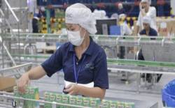 Thụy Sỹ đầu tư 1,9 tỷ USD vào 172 dự án tại Việt Nam