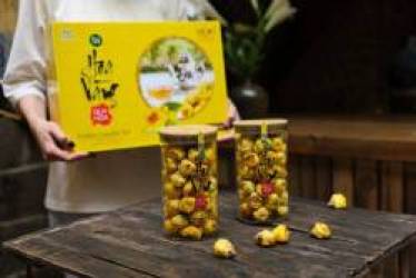 Trà hoa vàng Hải Hà - Quy Hoa Trà