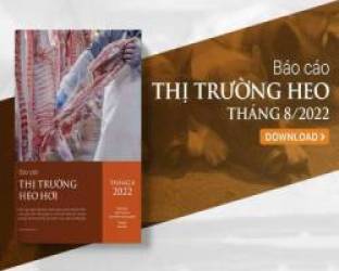 Giá thịt heo tăng cao tại nhiều quốc gia