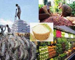 Bản tin thị trường nông, lâm, thủy sản số ra ngày 31/8/2022