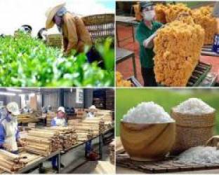 Bản tin thị trường nông, lâm, thủy sản số ra ngày 20/9/2022