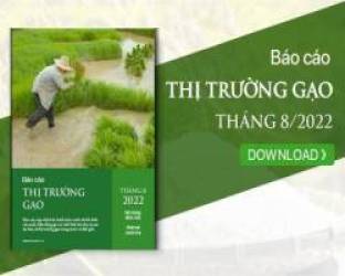 Hưởng lợi từ Ấn Độ hạn chế xuất khẩu gạo?