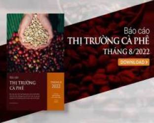 Giá cà phê lập đỉnh vì nguồn cung thiếu hụt