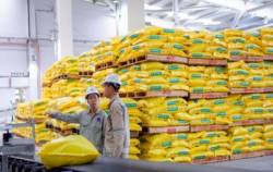 Lộc Trời Group bất ngờ báo lỗ quý 1