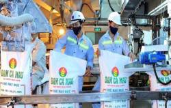 Nếu hai nhà máy thống lĩnh thị phần trong nước dừng hoạt động thì Việt Nam có thiếu hụt phân đạm?