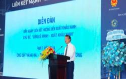 Chi phí Logistics cao chiếm đến 20-25% và manh mún, đặc biệt cần cải thiện “tính xanh” trong sản xuất