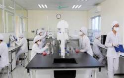 Mảng Tân dược – “Gà đẻ trứng vàng” mới của Traphaco