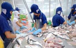 Sau 1 năm đại thắng, Nam Việt (ANV) đặt kế hoạch lợi nhuận trước thuế năm 2023 giảm 35%, dự kiến tăng vốn gấp đôi