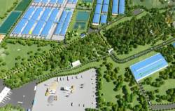 Một doanh nghiệp xin xây nhà cao tầng để nuôi heo ở Thanh Hóa