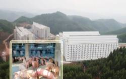 Đề xuất xây nhà cao tầng để nuôi lợn của Xuân Thiện Group và những câu hỏi về việc liệu có “lợi bất cập hại”