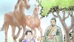 Câu chuyện “Tái ông mất ngựa”