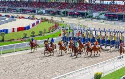 Đằng sau Trường đua ngựa, đua chó nghìn tỷ ở Lâm Đồng