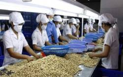 3 doanh nghiệp Việt nghi bị khách ở UAE lừa đảo