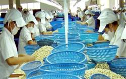 Đối tác mua 3 container tiêu, điều của doanh nghiệp Việt tại UAE ‘mất tích’