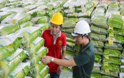 Lộc Trời giải thể liên doanh 3 triệu USD với đối tác Trung Quốc