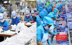 ANV và GIL tăng trần, cổ phiếu thủy sản và may mặc đồng loạt xanh trong phiên sáng 20/9, điều gì đang xảy ra tại nhóm DN này?