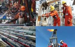 Doanh nghiệp Nhà nước sợ cảnh ‘9 lãi huân chương, 1 lỗ ngồi tù’