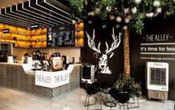 Sau 6 năm Diệp Lâm Anh mời sao Hàn hạng A sang Việt Nam khai trương, The Alley kinh doanh ra sao khi trào lưu trân châu đường đen đã hết “hot”?