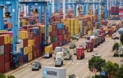 Bất ngờ về 4/5 container nông sản xuất khẩu tưởng đã mất trắng ở Dubai