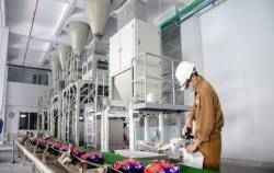 Hóa chất Đức Giang (DGC) báo lãi ròng quý 3/2023 giảm 46%, cầm gần 10.000 tỷ tiền mặt và chỉ có 1.000 tỷ đồng nợ vay tài chính
