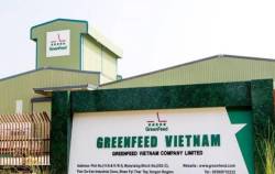 Từng được IFC rót 1.000 tỷ để cạnh tranh với Masan, CP trong mảng thịt, Green Feed bất ngờ báo lỗ 20 tỷ, nợ phải trả 5.500 tỷ đồng
