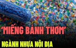 Vì sao doanh nghiệp nhựa luôn nằm trong tầm ngắm thâu tóm của đại gia Thái Lan?