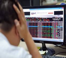 Vì sao NĐT chật vật làm giàu từ đầu tư chứng khoán?