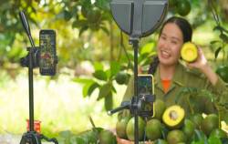 Đầu ra cho sản phẩm OCOP từ mô hình mua sắm giải trí qua livestream