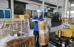 Kế hoạch lớn của ngành cao su